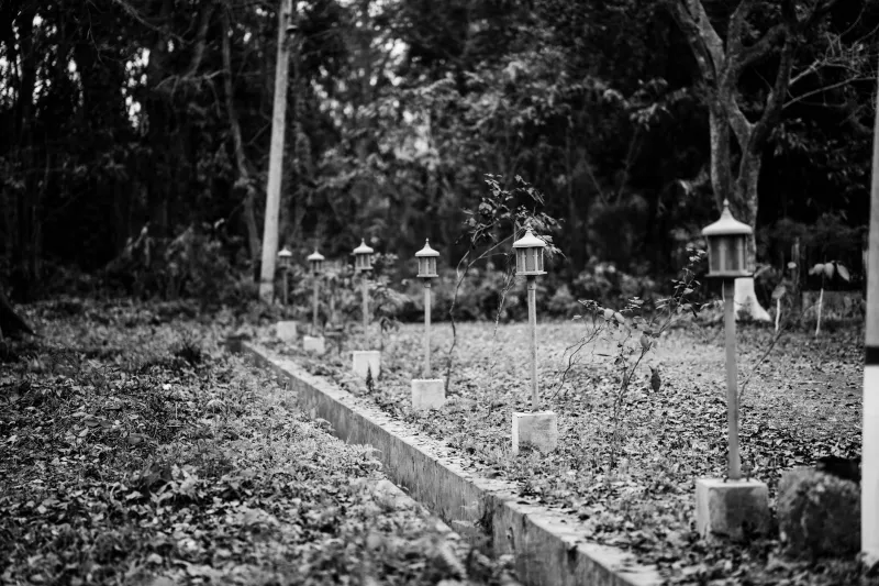 Death Was His Classroom: The Cemetery Worker Who Carved Out Modern Surgery