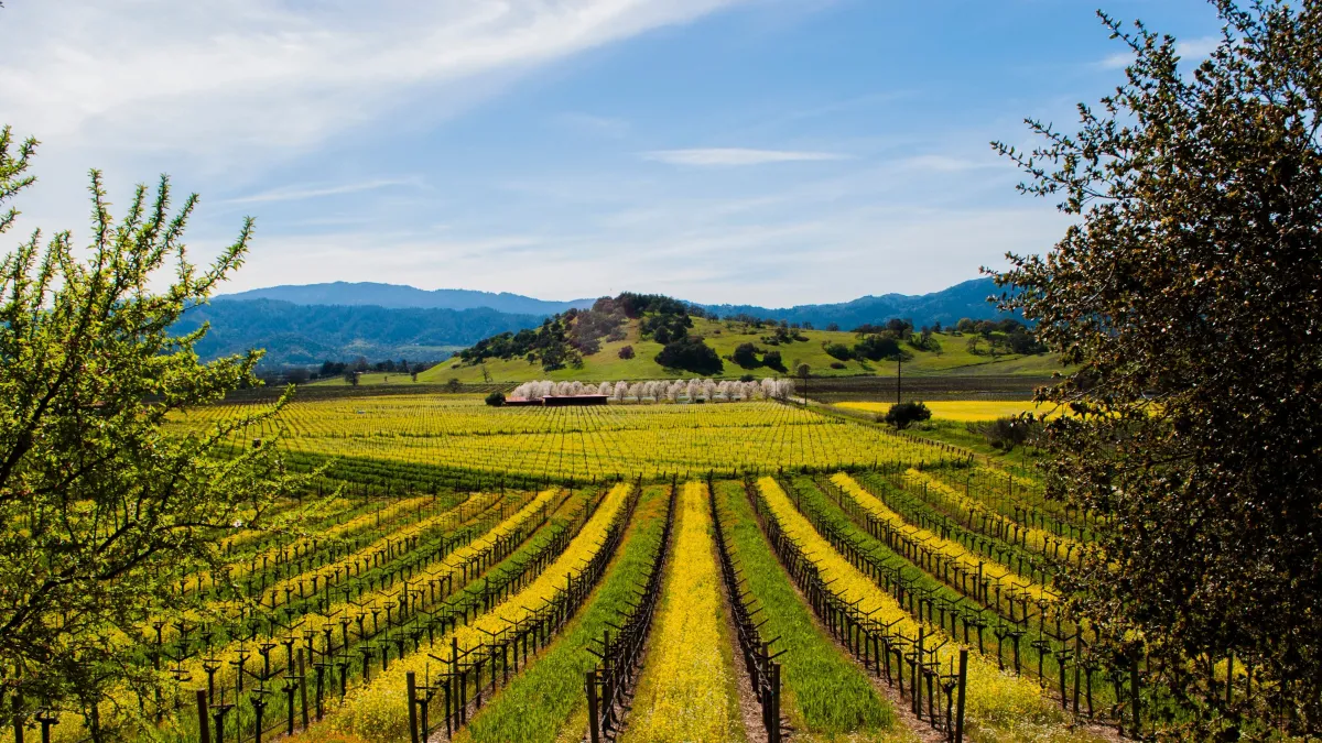 Napa Valley